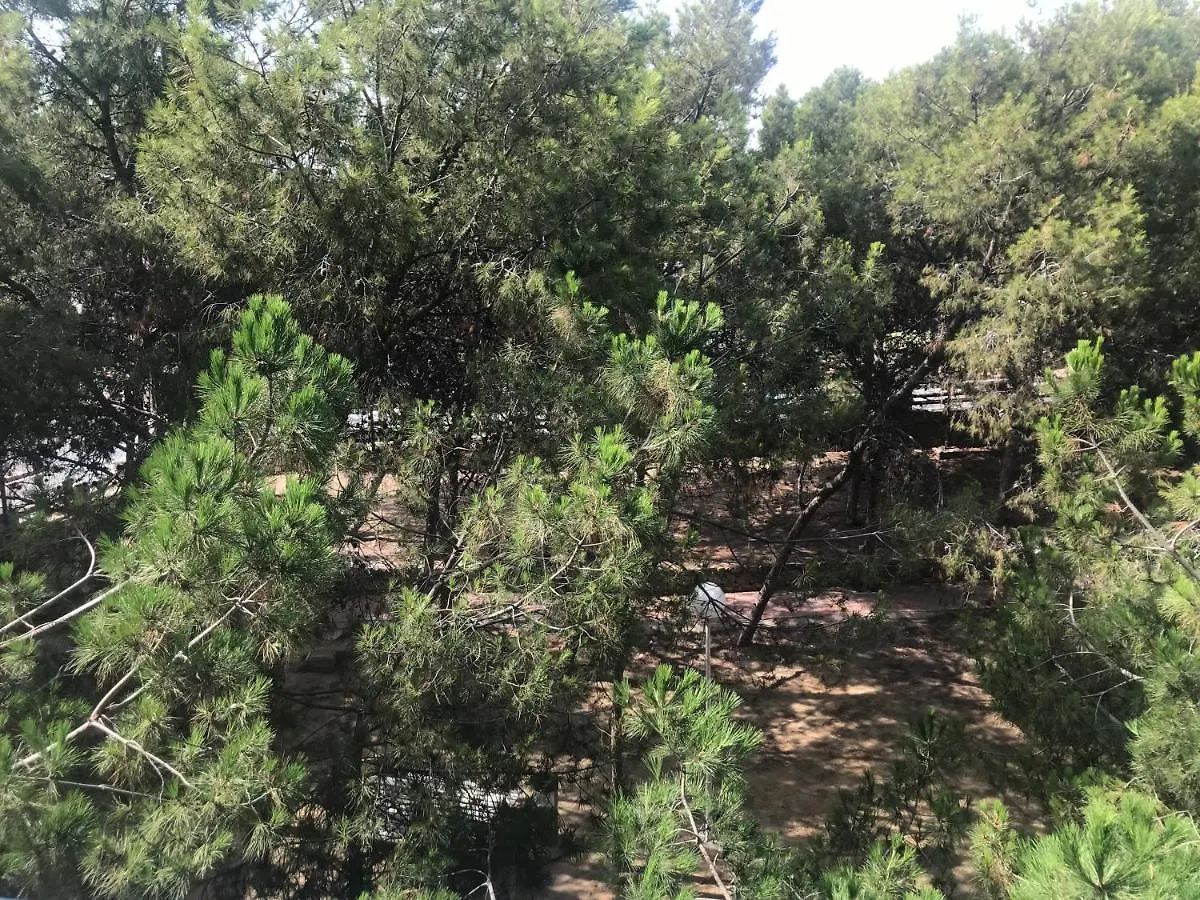 Apartamento Apartamento con terraza, garaje y piscina a 350m playa Garrucha España